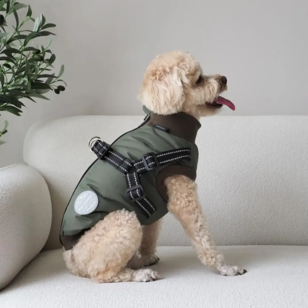 Online Hundejakke Thor med indbygget sele Grøn L Hundetøj Til Hvalpe - Varme Dækkener Og Sko Til Trygge Gåture|Hundetøj Til Alle Hunde Med Varme Dækkener Og Sko