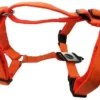 New Hundesele Nylon Orange justerbar Orange str. 54-70 cm 20 mm - åndbar komfort Hundeseler Til Alle Behov Og Hundestørrelser