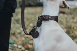 Online Aalborg Førerline til Hund Mørkebrun 20/100 Hundesnor I Mange Varianter Og Materialer|Hundesnor Til Hvalpe