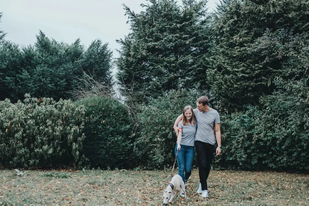 Online Aalborg Førerline til Hund Mørkebrun 20/100 Hundesnor I Mange Varianter Og Materialer|Hundesnor Til Hvalpe
