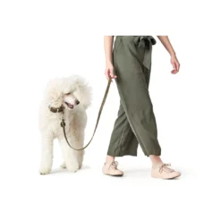 New Aalborg Førerline til Hund Oliven 13/110 Hundesnor I Mange Varianter Og Materialer|Hundesnor Til Hvalpe