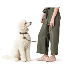 New Aalborg Førerline til Hund Oliven 13/110 Hundesnor I Mange Varianter Og Materialer|Hundesnor Til Hvalpe