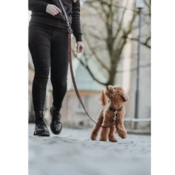 Best Aalborg Hundeline Mørkebrun 15/250 Hundesnor I Mange Varianter Og Materialer|Hundesnor Til Hvalpe