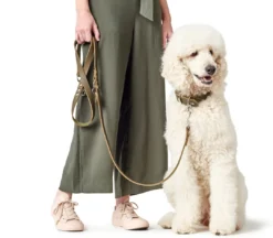 Outlet Aalborg Hundesnor Oliven 13/200 Hundesnor I Mange Varianter Og Materialer|Hundesnor Til Hvalpe