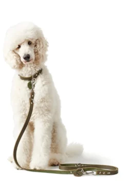Best Aalborg Hundesnor Oliven 16/200 Hundesnor I Mange Varianter Og Materialer|Hundesnor Til Hvalpe