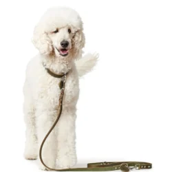 Best Aalborg Hundesnor Oliven 16/200 Hundesnor I Mange Varianter Og Materialer|Hundesnor Til Hvalpe