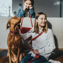 Aalborg Rustica Rød 55 - 40-48 cm Hvalpehalsbånd - Bløde Og Sikre Halsbånd Med Perfekt Pasform Til Din Hvalp|Hundehalsbånd Med Stil - Komfort Og Sikkerhed Til Din Hund