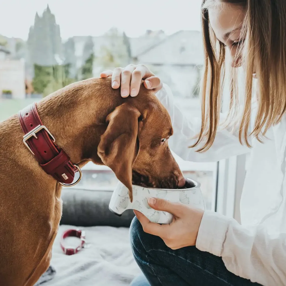 Aalborg Rustica Rød 55 - 40-48 cm Hvalpehalsbånd - Bløde Og Sikre Halsbånd Med Perfekt Pasform Til Din Hvalp|Hundehalsbånd Med Stil - Komfort Og Sikkerhed Til Din Hund
