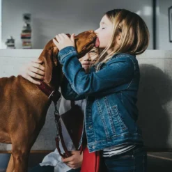 Aalborg Rustica Rød 50 - 36-44 cm Hvalpehalsbånd - Bløde Og Sikre Halsbånd Med Perfekt Pasform Til Din Hvalp|Hundehalsbånd Med Stil - Komfort Og Sikkerhed Til Din Hund