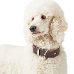 Discount Aalborg Special Hundehalsbånd Brun 45 - 30-38 cm Hvalpehalsbånd - Bløde Og Sikre Halsbånd Med Perfekt Pasform Til Din Hvalp|Hundehalsbånd Med Stil - Komfort Og Sikkerhed Til Din Hund