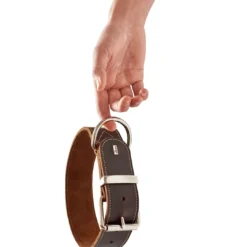 Discount Aalborg Special Hundehalsbånd Brun 45 - 30-38 cm Hvalpehalsbånd - Bløde Og Sikre Halsbånd Med Perfekt Pasform Til Din Hvalp|Hundehalsbånd Med Stil - Komfort Og Sikkerhed Til Din Hund