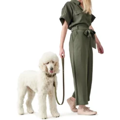 Hot Aalborg Sport Oliven 32 hundehalsbånd - 24-29 cm Hvalpehalsbånd - Bløde Og Sikre Halsbånd Med Perfekt Pasform Til Din Hvalp|Hundehalsbånd Med Stil - Komfort Og Sikkerhed Til Din Hund