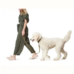 Clearance Aalborg Sport Oliven 37 hundehalsbånd - 28-33 cm Hvalpehalsbånd - Bløde Og Sikre Halsbånd Med Perfekt Pasform Til Din Hvalp|Hundehalsbånd Med Stil - Komfort Og Sikkerhed Til Din Hund