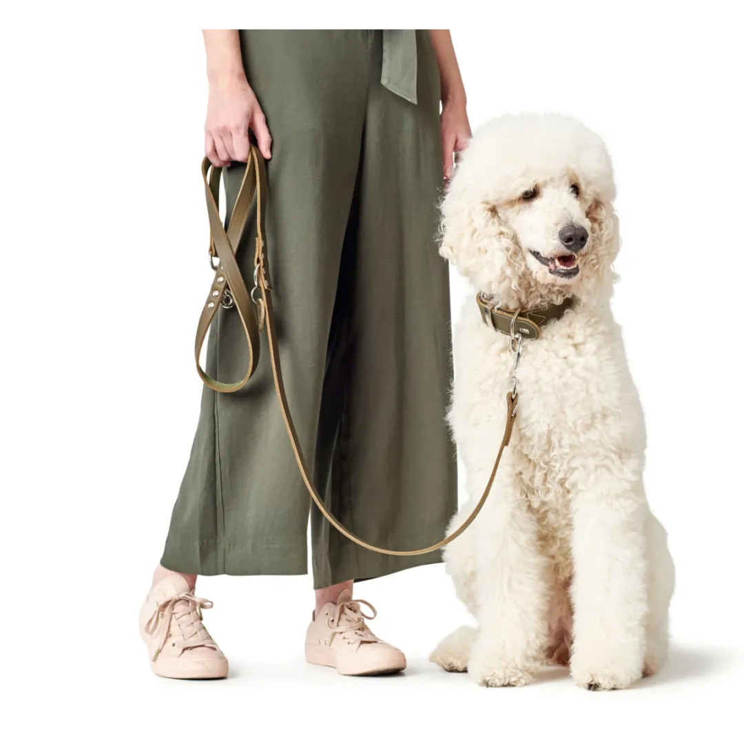 Discount Aalborg Sport Oliven 42 hundehalsbånd - 32-38 cm Hvalpehalsbånd - Bløde Og Sikre Halsbånd Med Perfekt Pasform Til Din Hvalp|Hundehalsbånd Med Stil - Komfort Og Sikkerhed Til Din Hund