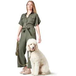 Discount Aalborg Sport Oliven 42 hundehalsbånd - 32-38 cm Hvalpehalsbånd - Bløde Og Sikre Halsbånd Med Perfekt Pasform Til Din Hvalp|Hundehalsbånd Med Stil - Komfort Og Sikkerhed Til Din Hund