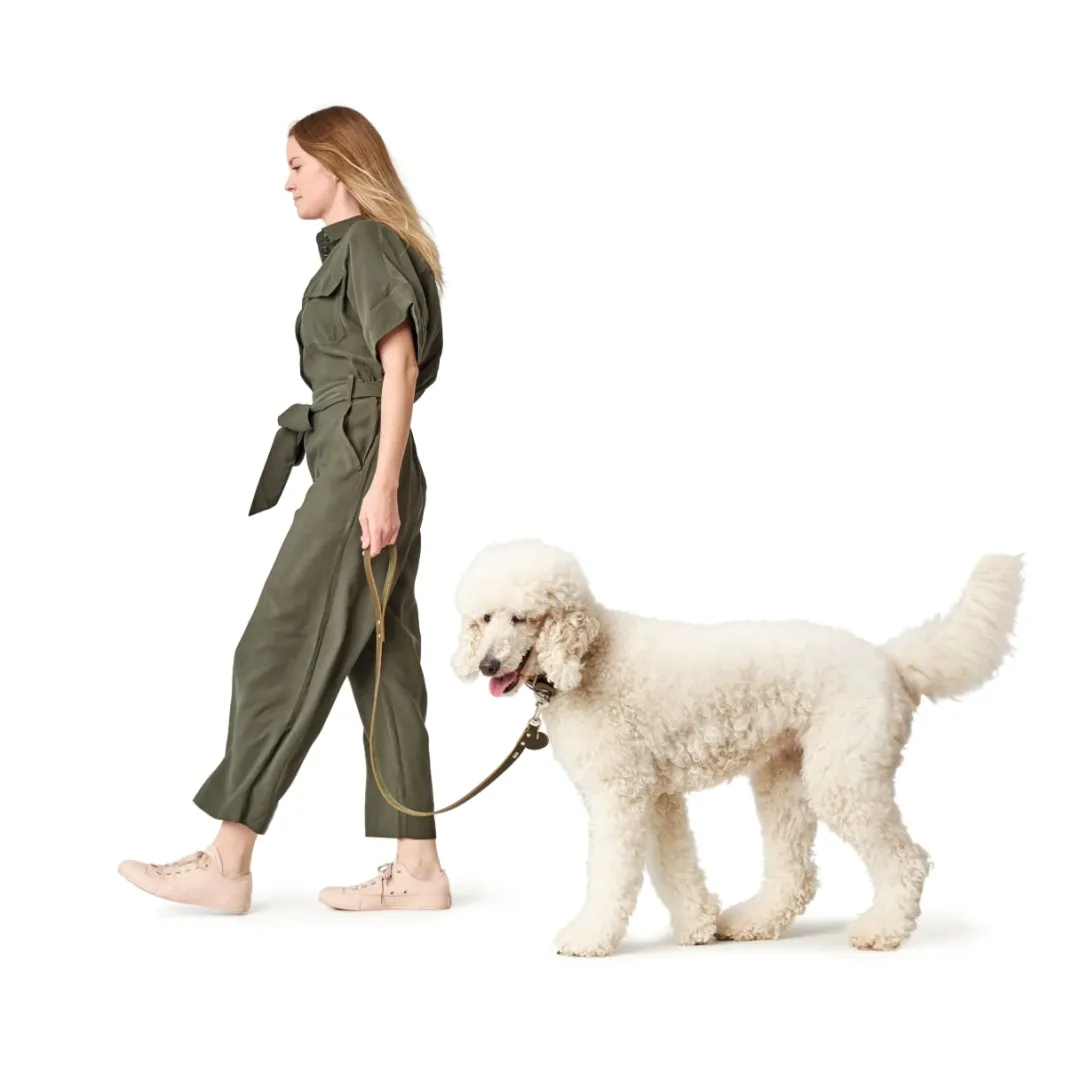 New Aalborg Sport Oliven 47 hundehalsbånd - 37-43 cm Hvalpehalsbånd - Bløde Og Sikre Halsbånd Med Perfekt Pasform Til Din Hvalp|Hundehalsbånd Med Stil - Komfort Og Sikkerhed Til Din Hund