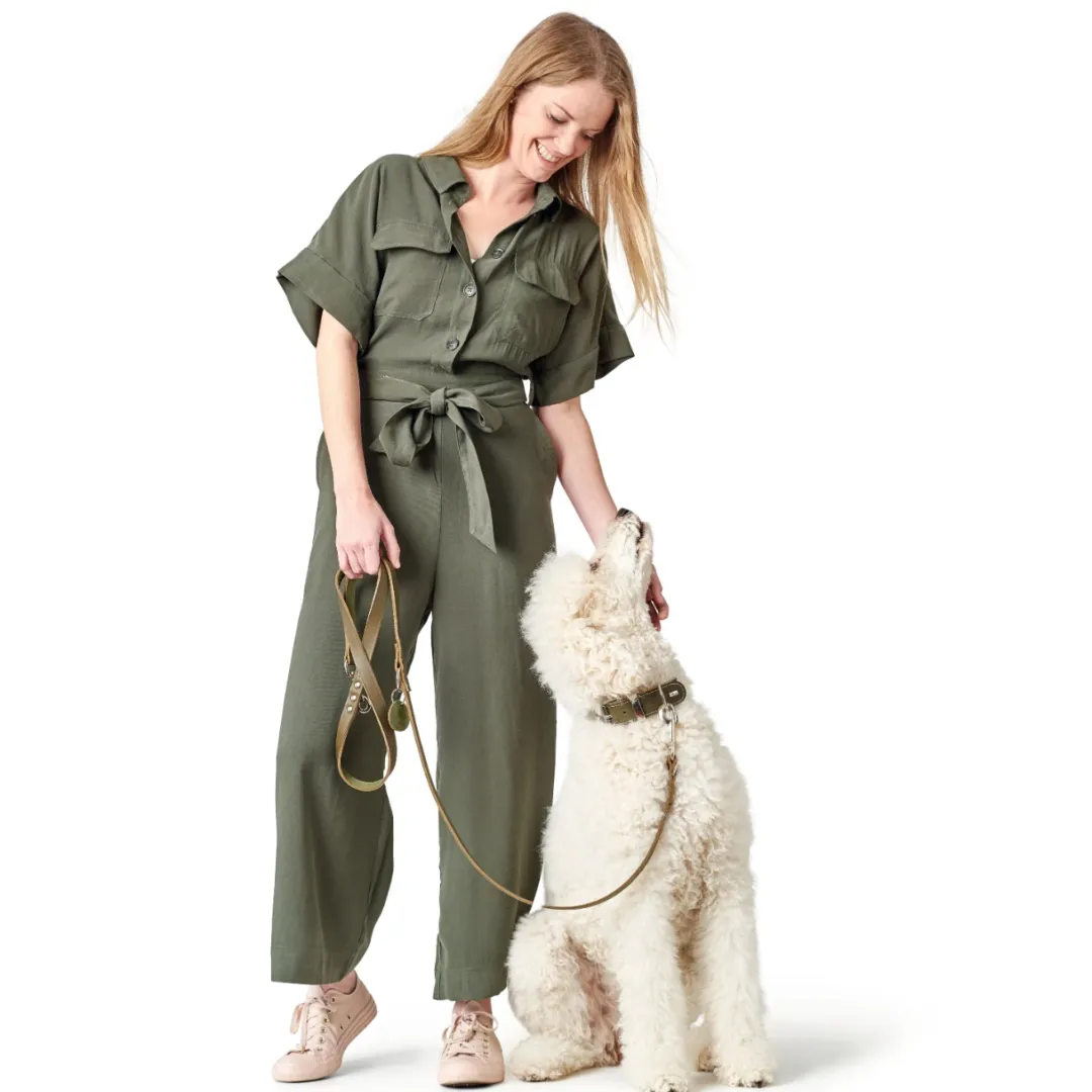 Online Aalborg Sport Oliven 52 hundehalsbånd - 38-47 cm Hvalpehalsbånd - Bløde Og Sikre Halsbånd Med Perfekt Pasform Til Din Hvalp|Hundehalsbånd Med Stil - Komfort Og Sikkerhed Til Din Hund