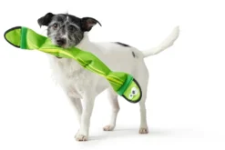 Best Aqua Mindelo Grøn - flydende vandlegetøj til hunde Hundelegetøj Til Alle Hunde Leg Og Aktivering Året Rundt|Legetøj Til Hvalpe - Sjov Leg, Aktivering Og Tryghed Fra Første Dag