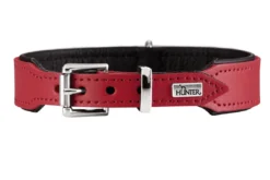 Clearance Basic halsbånd str.32 Rød - 24,0-28,5 cm Hvalpehalsbånd - Bløde Og Sikre Halsbånd Med Perfekt Pasform Til Din Hvalp|Hundehalsbånd Med Stil - Komfort Og Sikkerhed Til Din Hund