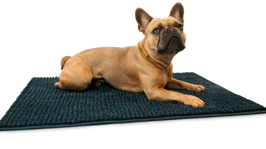 Clearance Børstemåtte Waterloo Medium 80 x 60 cm Hundesenge Og Kurve Til Hunde - Bløde Og Komfortable|Sovepladser Til Hvalpe - Hundesenge, Kølemåtter Og Trygge Hvilesteder