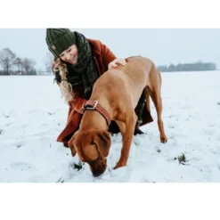Best Canadian UP Hundehalsbånd M 55 Sort/Cognac - 42-48 cm Hvalpehalsbånd - Bløde Og Sikre Halsbånd Med Perfekt Pasform Til Din Hvalp|Hundehalsbånd Med Stil - Komfort Og Sikkerhed Til Din Hund