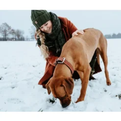 Outlet Canadian UP Hundehalsbånd Large 65 Cognac/Sort - 50-56 cm Hvalpehalsbånd - Bløde Og Sikre Halsbånd Med Perfekt Pasform Til Din Hvalp|Hundehalsbånd Med Stil - Komfort Og Sikkerhed Til Din Hund