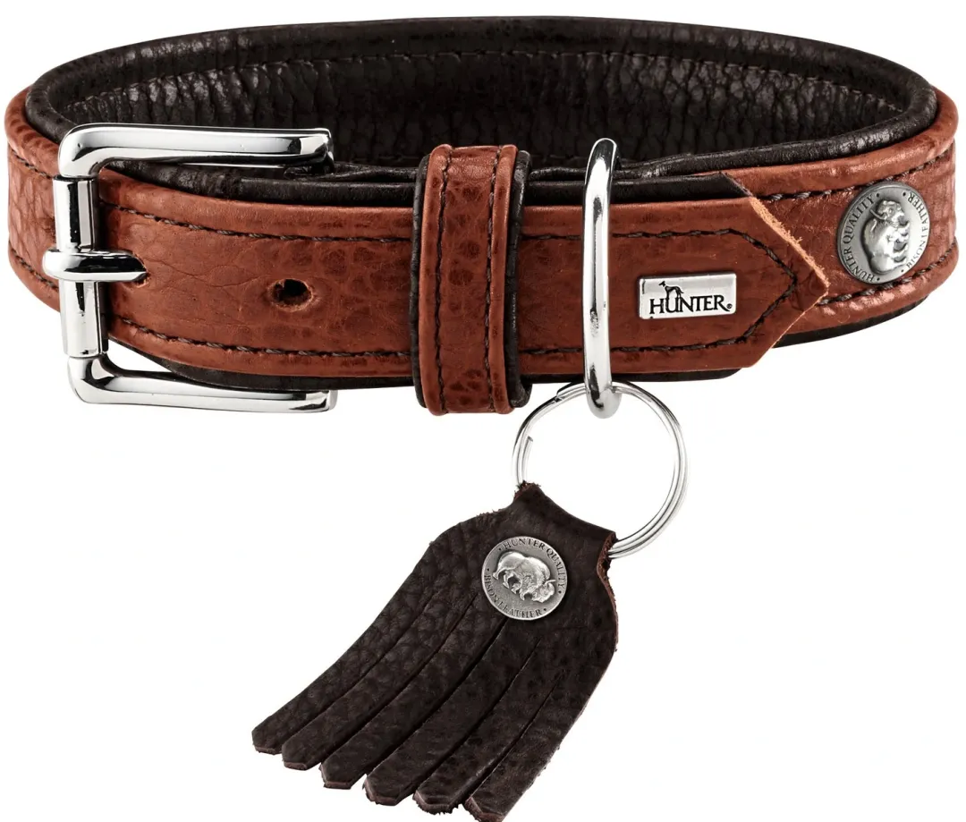 New Cody 40 Cognac Mørkebrun hundehalsbånd - 29-35 cm Hvalpehalsbånd - Bløde Og Sikre Halsbånd Med Perfekt Pasform Til Din Hvalp|Hundehalsbånd Med Stil - Komfort Og Sikkerhed Til Din Hund
