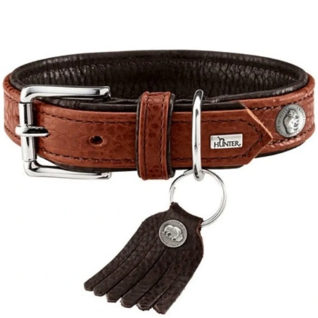 Outlet Cody 45 Cognac Mørkebrun hundehalsbånd - 33-39 cm Hvalpehalsbånd - Bløde Og Sikre Halsbånd Med Perfekt Pasform Til Din Hvalp|Hundehalsbånd Med Stil - Komfort Og Sikkerhed Til Din Hund