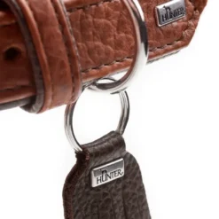 Outlet Cody 50 Cognac Mørkebrun hundehalsbånd - 37-43 cm Hvalpehalsbånd - Bløde Og Sikre Halsbånd Med Perfekt Pasform Til Din Hvalp|Hundehalsbånd Med Stil - Komfort Og Sikkerhed Til Din Hund