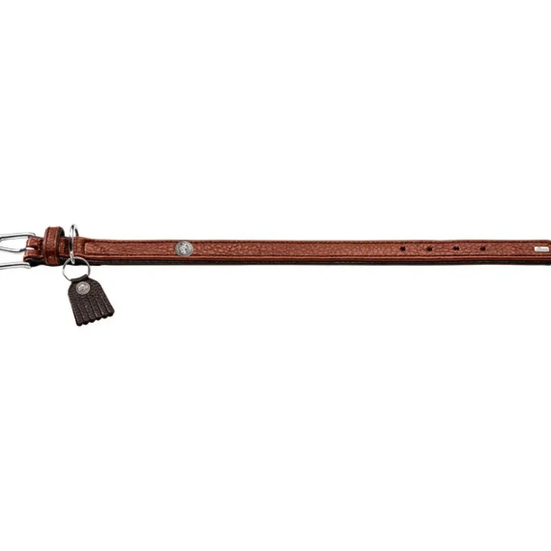 Outlet Cody 50 Cognac Mørkebrun hundehalsbånd - 37-43 cm Hvalpehalsbånd - Bløde Og Sikre Halsbånd Med Perfekt Pasform Til Din Hvalp|Hundehalsbånd Med Stil - Komfort Og Sikkerhed Til Din Hund