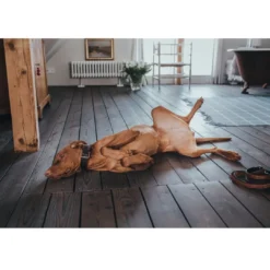 New Cody Cognac Mørkebrun 3-trins hundeline 15/200 Hundesnor I Mange Varianter Og Materialer|Hundesnor Til Hvalpe