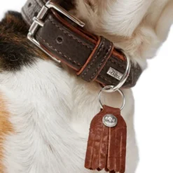 Clearance Cody 40 Mørkebrun Cognac hundehalsbånd - 29-35 cm Hvalpehalsbånd - Bløde Og Sikre Halsbånd Med Perfekt Pasform Til Din Hvalp|Hundehalsbånd Med Stil - Komfort Og Sikkerhed Til Din Hund