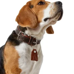 Best Cody 45 Mørkebrun Cognac hundehalsbånd - 33-39 cm Hvalpehalsbånd - Bløde Og Sikre Halsbånd Med Perfekt Pasform Til Din Hvalp|Hundehalsbånd Med Stil - Komfort Og Sikkerhed Til Din Hund