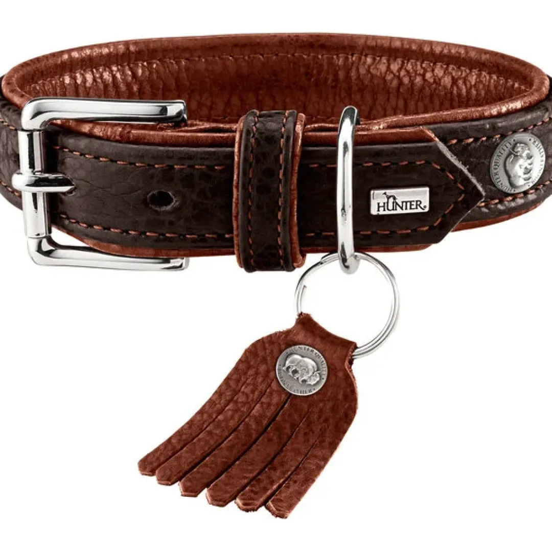 Discount Cody 55 Mørkebrun Cognac hundehalsbånd - 42-48 cm Hvalpehalsbånd - Bløde Og Sikre Halsbånd Med Perfekt Pasform Til Din Hvalp|Hundehalsbånd Med Stil - Komfort Og Sikkerhed Til Din Hund