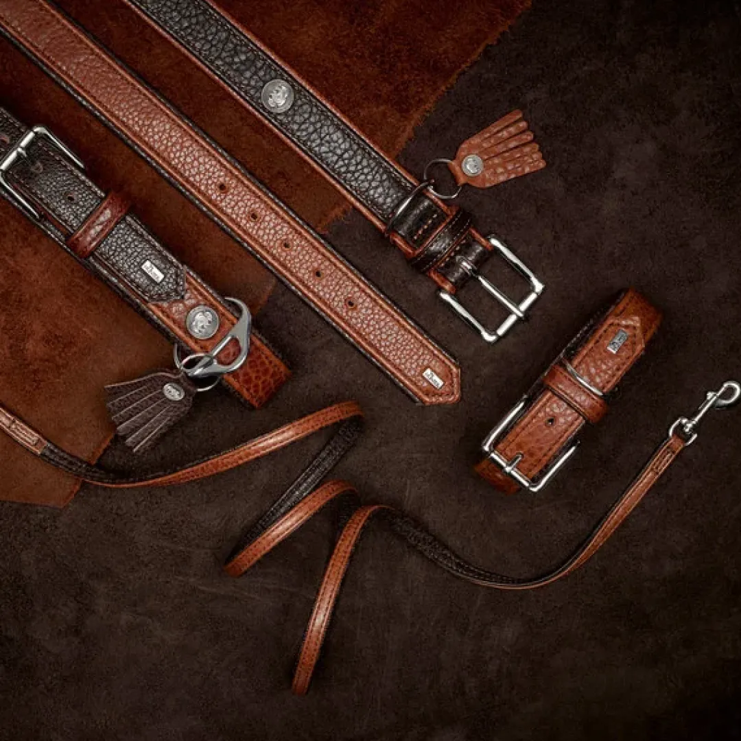Discount Cody 55 Mørkebrun Cognac hundehalsbånd - 42-48 cm Hvalpehalsbånd - Bløde Og Sikre Halsbånd Med Perfekt Pasform Til Din Hvalp|Hundehalsbånd Med Stil - Komfort Og Sikkerhed Til Din Hund