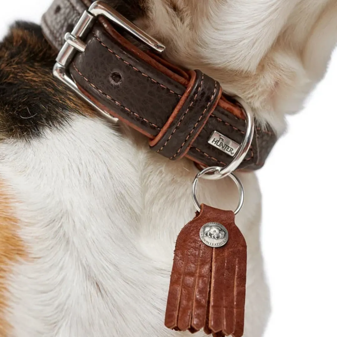 Discount Cody 55 Mørkebrun Cognac hundehalsbånd - 42-48 cm Hvalpehalsbånd - Bløde Og Sikre Halsbånd Med Perfekt Pasform Til Din Hvalp|Hundehalsbånd Med Stil - Komfort Og Sikkerhed Til Din Hund