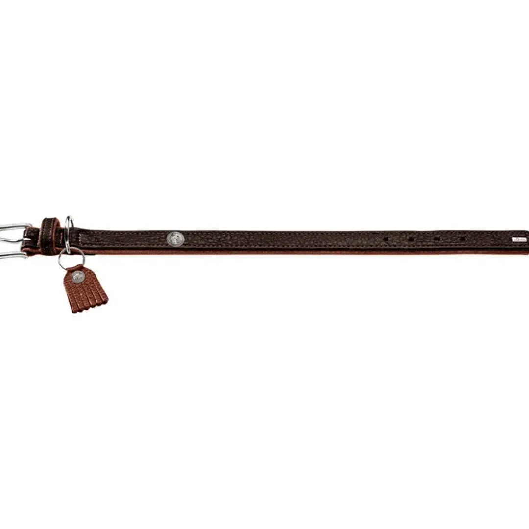 Best Cody 65 Mørkebrun Cognac hundehalsbånd - 50-56 cm Hvalpehalsbånd - Bløde Og Sikre Halsbånd Med Perfekt Pasform Til Din Hvalp|Hundehalsbånd Med Stil - Komfort Og Sikkerhed Til Din Hund