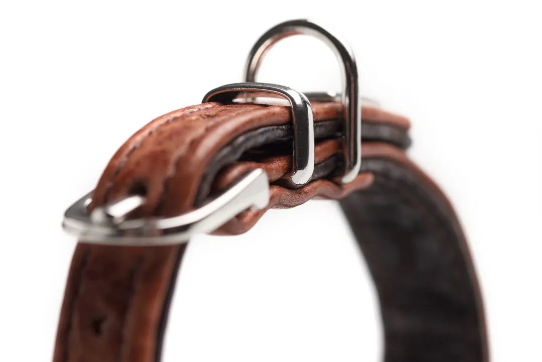 Discount Cody Petit 30 Cognac Mørkebrun hundehalsbånd Hvalpehalsbånd - Bløde Og Sikre Halsbånd Med Perfekt Pasform Til Din Hvalp|Hundehalsbånd Med Stil - Komfort Og Sikkerhed Til Din Hund