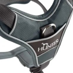 Sale Divo hundesele L grå/grå just mave 72-100 cm - Stabil kontrol og komfort Hvalpeseler - Bløde Justerbare Seler Der Giver Din Hvalp Tryghed Og Støtte På Turen|Hundeseler Til Alle Behov Og Hundestørrelser