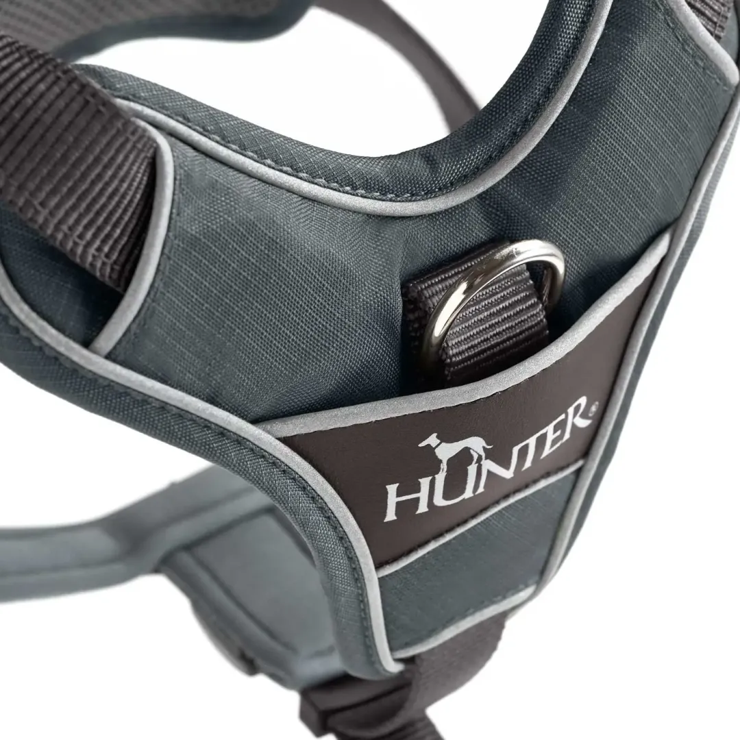Sale Divo hundesele L grå/grå just mave 72-100 cm - Stabil kontrol og komfort Hvalpeseler - Bløde Justerbare Seler Der Giver Din Hvalp Tryghed Og Støtte På Turen|Hundeseler Til Alle Behov Og Hundestørrelser