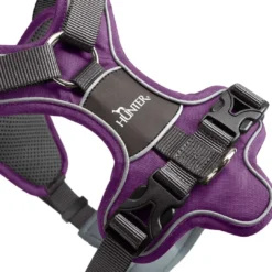 Clearance Divo hundesele L violet/grå just mave 72-100 cm - Stabil støtte og fri bevægelse Hvalpeseler - Bløde Justerbare Seler Der Giver Din Hvalp Tryghed Og Støtte På Turen|Hundeseler Til Alle Behov Og Hundestørrelser
