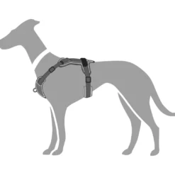 Clearance Divo hundesele L-XL grå/grå just mave 79-107 cm - Stabil kontrol og komfort Hvalpeseler - Bløde Justerbare Seler Der Giver Din Hvalp Tryghed Og Støtte På Turen|Hundeseler Til Alle Behov Og Hundestørrelser