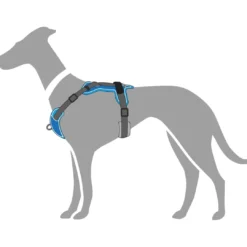 Divo hundesele L-XL lyseblå/grå just mave 79-107 cm - Sikker pasform og høj komfort Hvalpeseler - Bløde Justerbare Seler Der Giver Din Hvalp Tryghed Og Støtte På Turen|Hundeseler Til Alle Behov Og Hundestørrelser