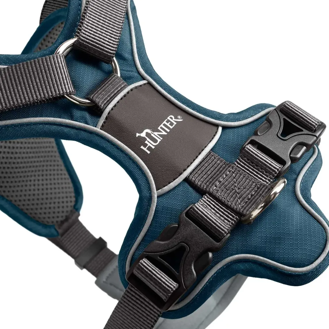 Clearance Divo hundesele L-XL petrol/grå just mave 79-107 cm - Ergonomisk komfort og refleks Hvalpeseler - Bløde Justerbare Seler Der Giver Din Hvalp Tryghed Og Støtte På Turen|Hundeseler Til Alle Behov Og Hundestørrelser