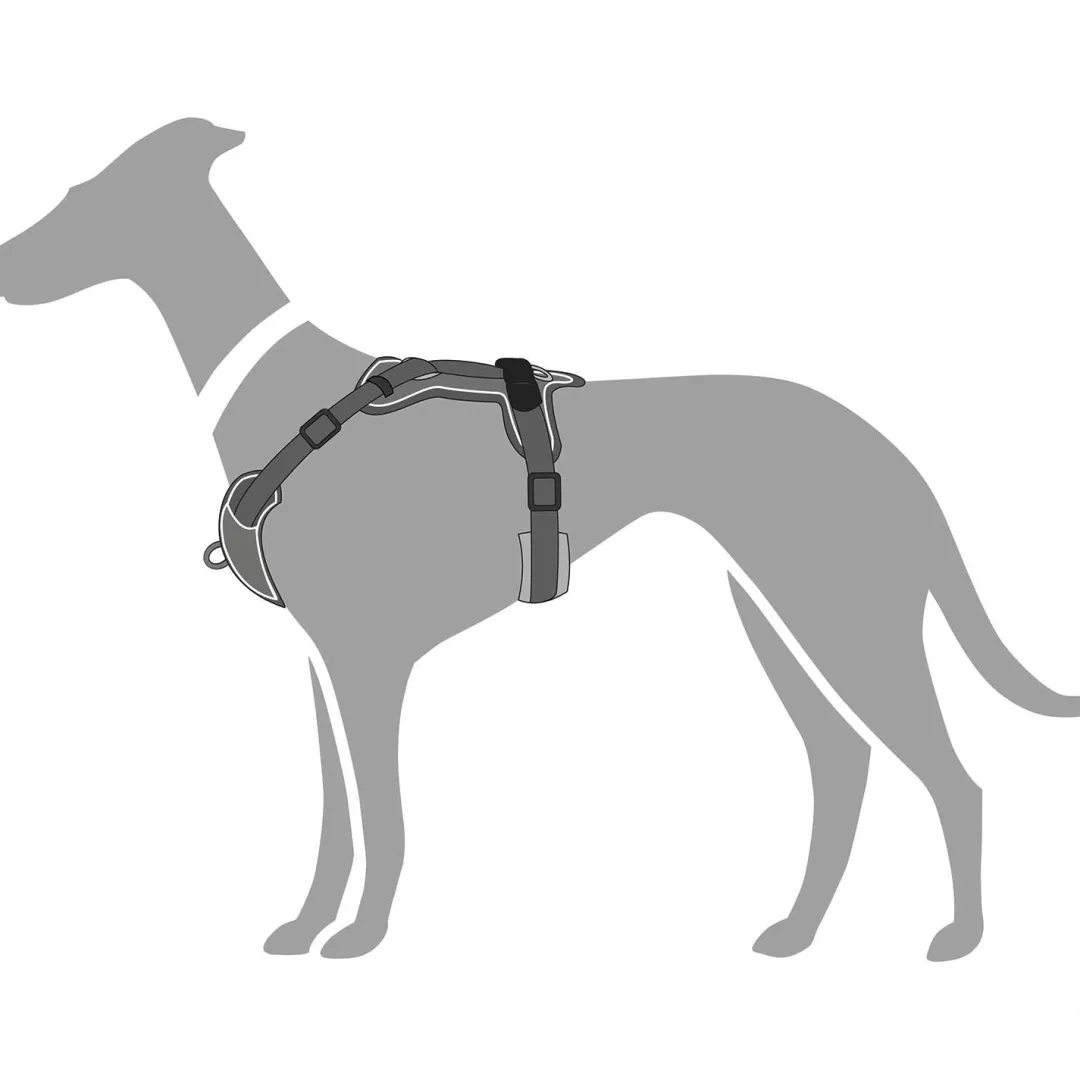 Discount Divo hundesele M grå/grå just mave 56-73 cm - Stabil kontrol og komfort Hvalpeseler - Bløde Justerbare Seler Der Giver Din Hvalp Tryghed Og Støtte På Turen|Hundeseler Til Alle Behov Og Hundestørrelser