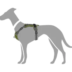Best Divo hundesele M grøn/grå just mave 56-73 cm - Stabil kontrol og komfort Hvalpeseler - Bløde Justerbare Seler Der Giver Din Hvalp Tryghed Og Støtte På Turen|Hundeseler Til Alle Behov Og Hundestørrelser