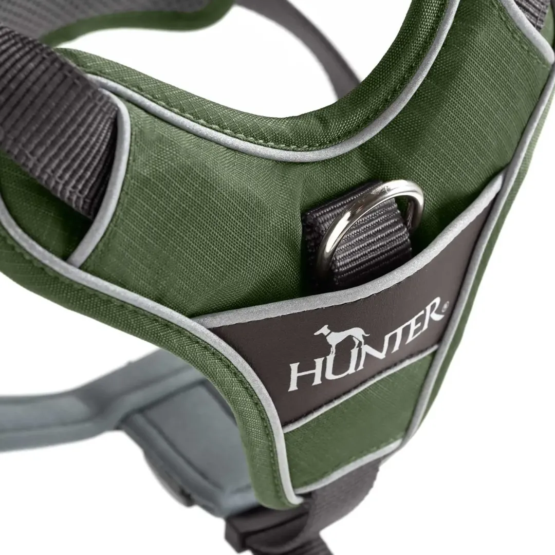 Best Divo hundesele M grøn/grå just mave 56-73 cm - Stabil kontrol og komfort Hvalpeseler - Bløde Justerbare Seler Der Giver Din Hvalp Tryghed Og Støtte På Turen|Hundeseler Til Alle Behov Og Hundestørrelser
