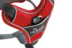 Best Divo hundesele M rød/grå just mave 56-73 cm - Stabil pasform og aktiv komfort Hvalpeseler - Bløde Justerbare Seler Der Giver Din Hvalp Tryghed Og Støtte På Turen|Hundeseler Til Alle Behov Og Hundestørrelser