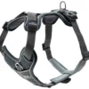 Clearance Divo hundesele S-M grå/grå just mave 52-68 cm - Stabil kontrol og komfort Hvalpeseler - Bløde Justerbare Seler Der Giver Din Hvalp Tryghed Og Støtte På Turen|Hundeseler Til Alle Behov Og Hundestørrelser