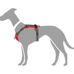 Clearance Divo hundesele S-M rød/grå just mave 52-68 cm - Fleksibel støtte til aktive ture Hvalpeseler - Bløde Justerbare Seler Der Giver Din Hvalp Tryghed Og Støtte På Turen|Hundeseler Til Alle Behov Og Hundestørrelser